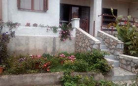 Guesthouse Filepi